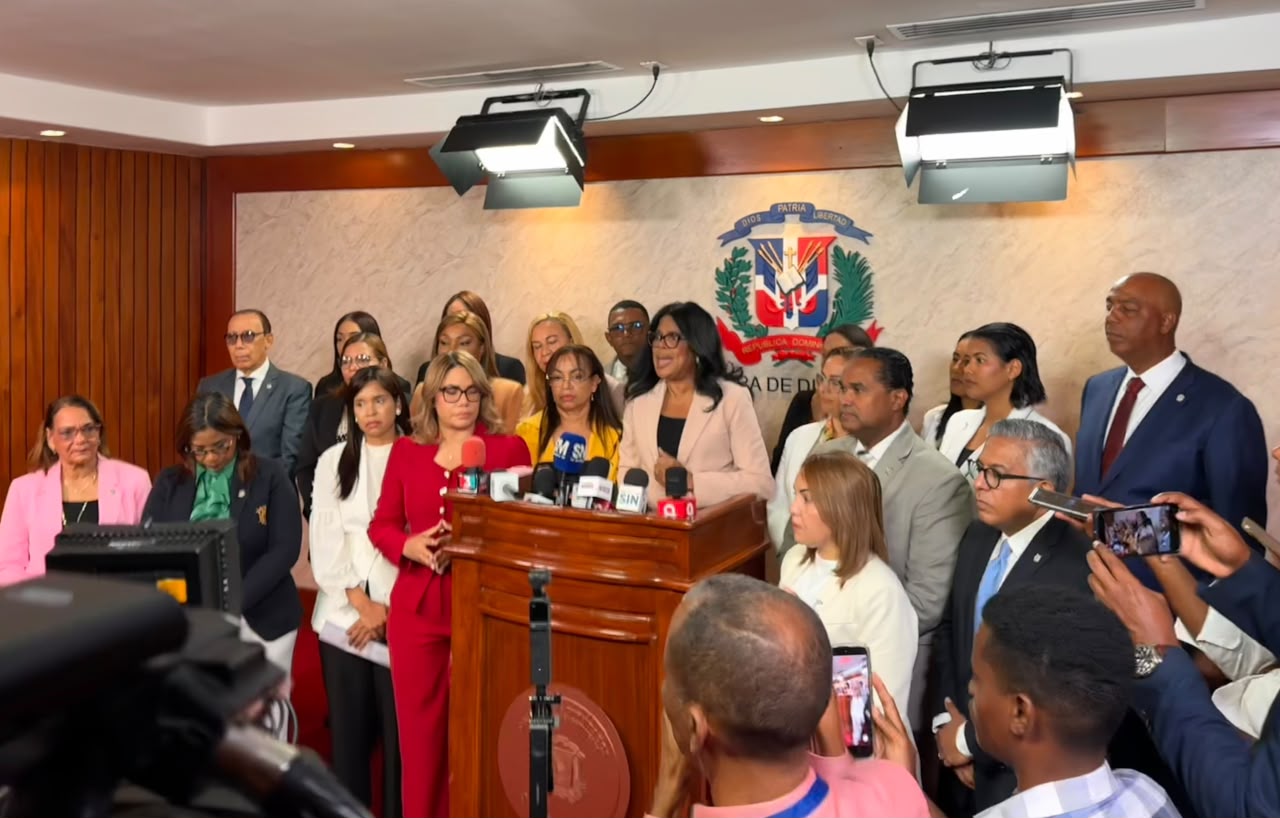 Diputados provida llaman al Tribunal Constitucional a respetar la Constitución y no extralimitarse en sus facultades