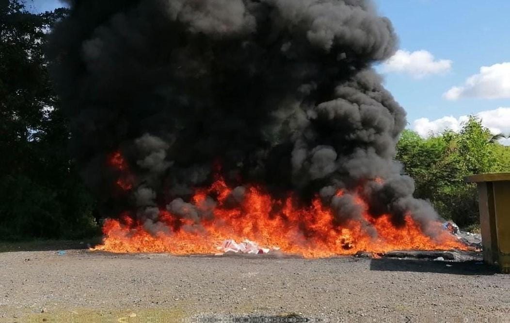 El Inacif destruye más de una tonelada de drogas incautadas en operativos de plan nacional